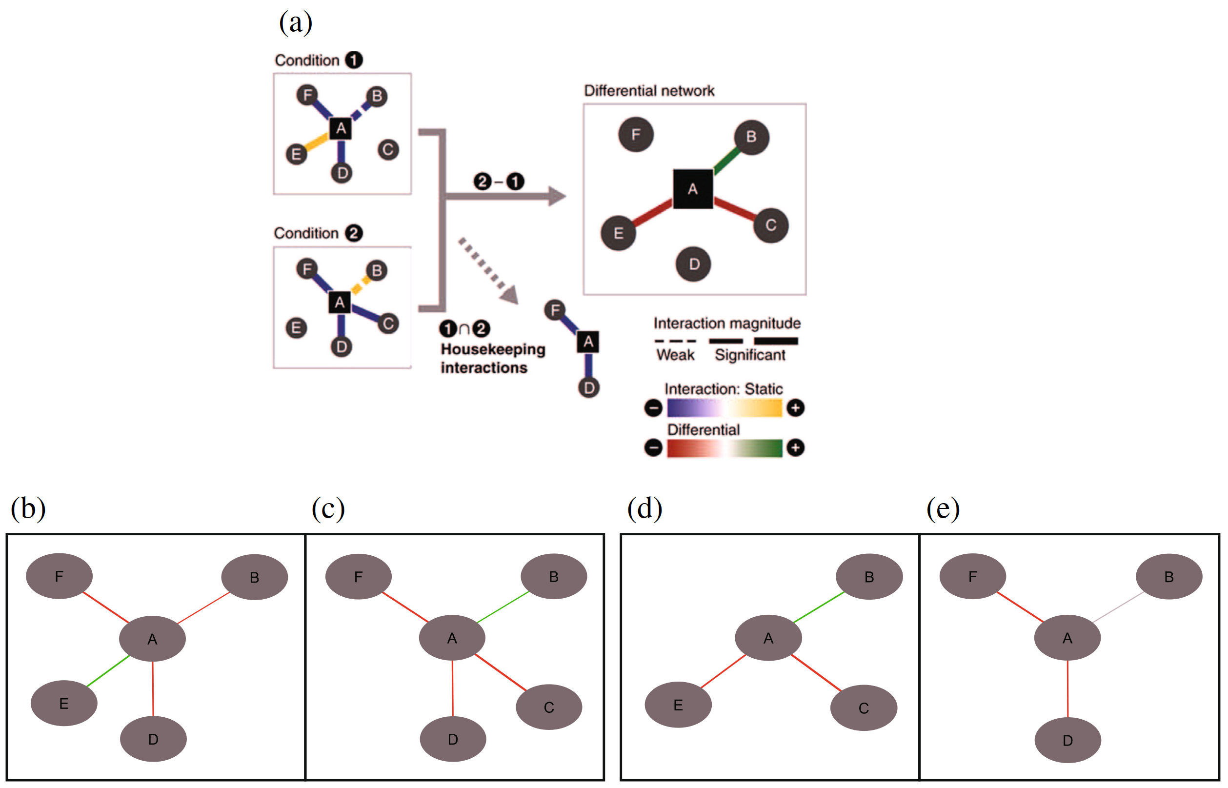 Figure from the paper, showing how differential networks work.