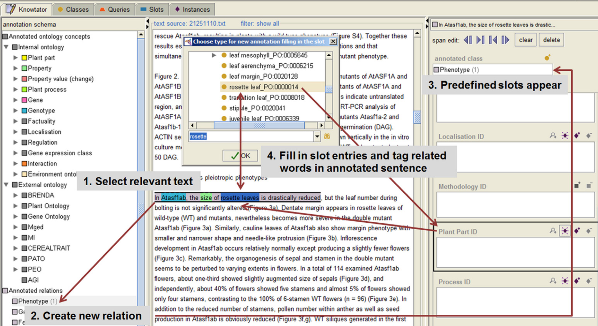 Screenshot of the Leaf Knowtator annotation framework